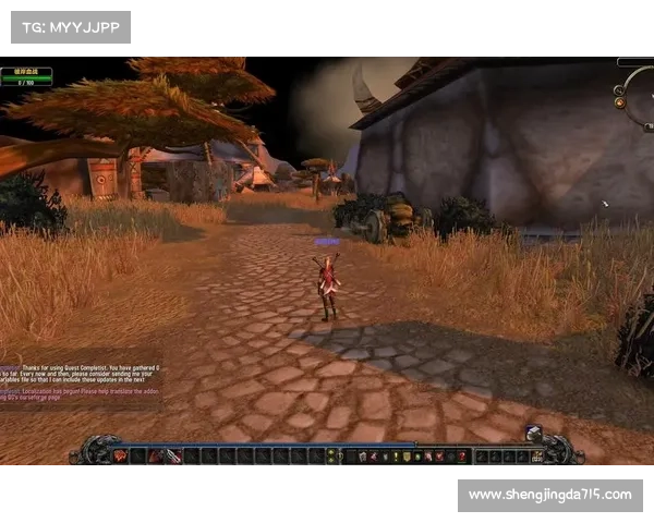 魔兽世界单机版：全新装备，色彩中心焕发